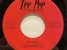 RARE WI Garage 45 K & D BOOTERY CO Birthday / Don't Let The Sun TEE PEE listen