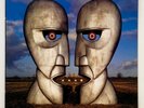 ORIGINAL 1994 PINK FLOYD Album THE DIVISION Lp 1ST PRESS on BLUE VINYL Record NM