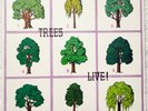TREES - LIVE (original Habla label issue) from Italy
