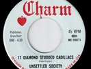 Psych Garage 45 UNSETTLED SOCIETY 