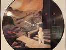Oingo Boingo Dark At The End Of The Tunnel Picture Disc LP Vinyl 1990 US RARE
