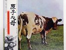 PINK FLOYD ATOM HEART MOTHER EMI EMS80320 Japan VINYL LP