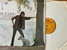 NEIL YOUNG AND CRAZY HORSE- EVERYBODY KNOWS THIS IS NOWHERE UK PRESSING RSLP6349