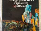 Continuum Autumn Grass vinyl 1971 UK Original VG/EX