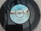 RARE PUNK THE LIMIT PLEASE PLEASE ME / MY WORLD AT NIGHT 45 PRIVATE STOCK PVT156