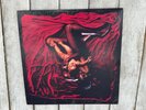 Afghan Whigs - Congregation Vinyl 2 LP Record Album Sub Pop 2017 180g Indie Rock