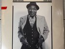 MUDDY WATERS HARD AGAIN BLUE SKY Records CBS Records Vinyl LP AL 3449 1977
