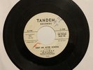 Yolanda And The Castanets – What About Me? / Meet Me After School 45 RP Promo