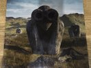 Jean-Michel Jarre - Equinoxe Infinity . New sealed vinyl album Great price