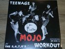 THE 5,6,7,8' S TEENAGE MOJO WORKOUT LP JAPANESE GARAGE PUNK ROCK VINYL NEW