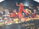The Warning Band Keep Me Fed Picture Disc LP Alejandra Paulina Daniella Vinyl