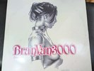 bran van 3000 Discosis Vinyl Record
