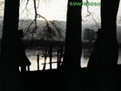Cluster - Sowiesoso - EXPERIMENTAL *SEALED*