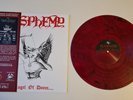 BLASPHEMY Fallen Angel Of Doom.... LP Lim. 110 Barcelona 2025 Edition sarcofago