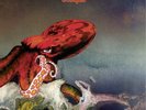 Gentle Giant Octopus (Vinyl) 12
