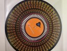 Alkaline Trio Maybe I’ll Catch Fire 25TH Anniversary Zoetrope Vinyl Picture Disc