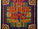 NEAR MINT Vtg 1977 THE BEACH BOYS Album LOVE YOU Record 1ST PRESSING Vinyl Lp OG
