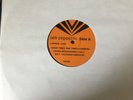 Possible Led Zeppelin Live Concert Vinyl LP Record Unknown sx503