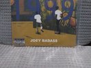 Joey Bada$$1999 Vinyl Record Color in Color Clear  . PLEASE READ