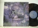 NM IN SHRINK   X Mal Deutschland 