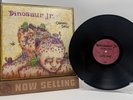 Dinosaur Jr - Chocomel Daze Vinyl LP