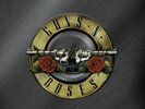 Guns N' Roses - Greatest Hits | 2LP 180 Gram | Rock Classics