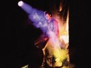 Gum - Glamorous Damage Limited Edition Matte Gold Vinyl LP Remastered (New)