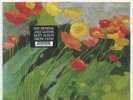 ELLIS, Herb/REMO PALMIER - Windflower (reissue) - Vinyl (LP)