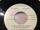 RICKY NELSON / JACK LEMMON the Wackiest Ship in The Army DJ 45 One Sided VG