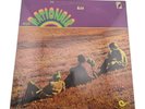The Rationals – Self Titled - Vinyl Lp - Sealed - 1969 - Crewe CR-1334 Original