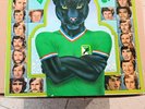 Ancien Présentoir Disque Vinyle Allez Les Verts ASSE Rare Saint Etienne