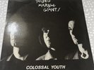 Young Marble Giants - Colossal Youth - Vinyl LP rough trade used untested
