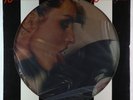 Blondie - Parallel Lines Picture Disc LP - Chrysalis Ltd. SEALED