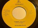 PRIVATE 2009 WI Funk/Soul/Boogie 45 - PYRAMID PLUS 