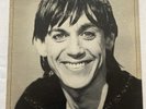 Iggy Pop - Lust For Life - Vinyl Record LP RCA 1st UK Press