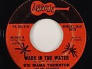 Big Mama Thornton 