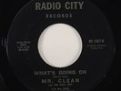 Mr. Clean & Soul Inc. 