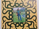Rick Hayward ‎– Same (LP UK 1971 Blue Horizon 2431 006 VG+/VG+) superrare BLUES