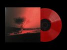 JOJI Piss In The Wind Ruby White Mist Vinyl LP AUTOGRAPHED [CONFIRMED ORDER ]