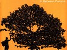 Jack Johnson - In Between Dreams (Vinyl LP - 2005 - CZ - Reissue)