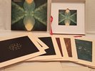 Bonobo - The North Borders Deluxe 10