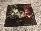Danielle Dax   Jesus Egg That Wept Vinyl LP (Awesome Records-AOR 1) UK-1984