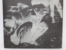 Dropdead / Crossed Out 1995 Split 5