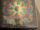 Jethro Tull Roots to Branches vinyl NEW