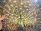 Which Side Are You On? by Ani Difranco (Record, 2012) black vinyl