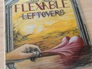Steve Vai Flex-Able Leftovers 10” Vinyl Record Pre Owned Excellent