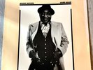 MUDDY WATERS : HARD AGAIN : VINYL LP : BLUE SKY PZ 34449 : EX