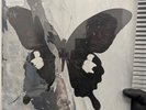 DEATH CULT - PARADISE NOW CLEAR WITH SPLATTER VINYL - New minor dent