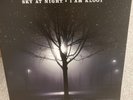 I AM KLOOT SKY AT NIGHT, VINYL LP, EX