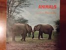 Pino Calvi - Animals 1 (Usignolo UST 367) Rare Library LP